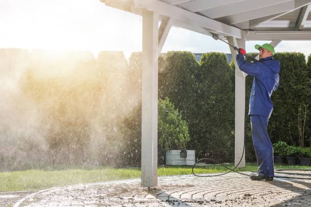 Best Animal Enclosure Cleaning  in Lorenzo, TX
